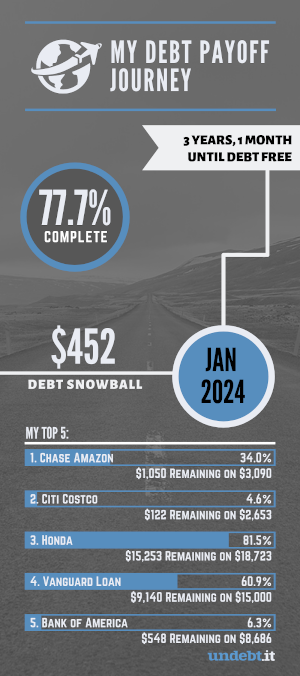 my debt payoff journey infographic