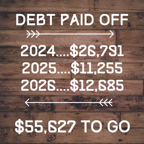 payoff snapshot - debts paid-by year