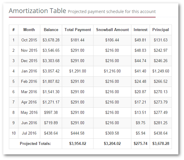 Individual account amortization table