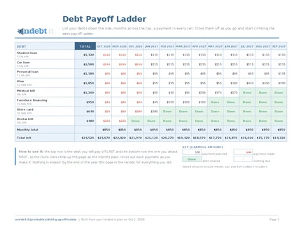 Debt Payoff Ladder filled in with sample data