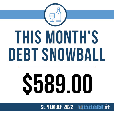 payoff snapshot - this months debt snowball