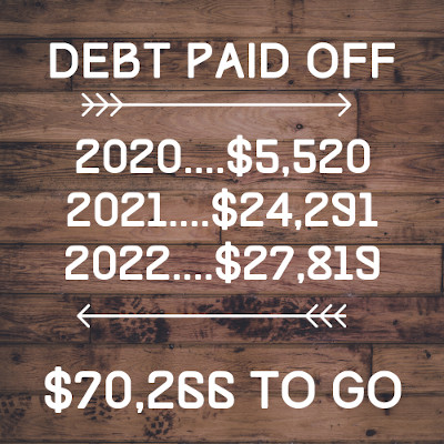 payoff snapshot - debt paid by year