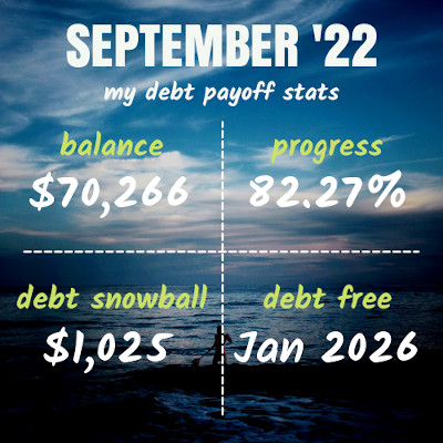payoff snapshot - debt stats by month