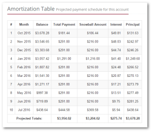 Debt Account Amortization Schedule
