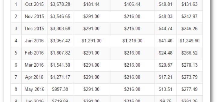 Debt Account Amortization Schedule