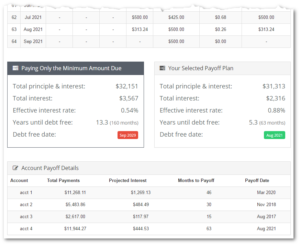 Summary view on debt snowball calculator