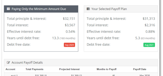 Summary view on debt snowball calculator