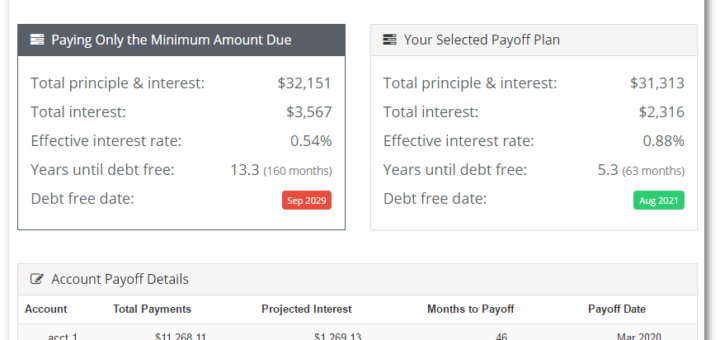 Summary view on debt snowball calculator