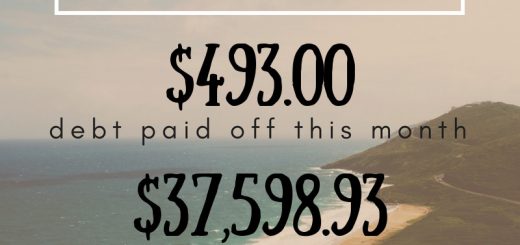 Debt Payoff Snapshot
